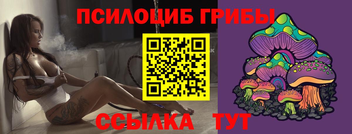 продажа наркотиков  Вход с VPN  Калининград  Галлюциногенные грибы Magic Shrooms 